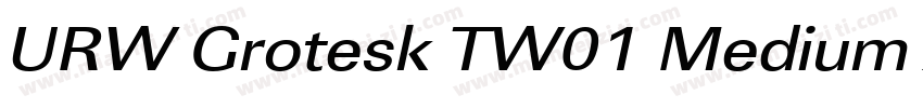 URW Grotesk TW01 Medium XWide字体转换